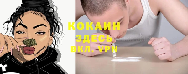 ГАЛЛЮЦИНОГЕННЫЕ ГРИБЫ Абаза