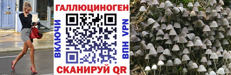 Псилоцибиновые грибы мицелий  продажа наркотиков  Саранск 