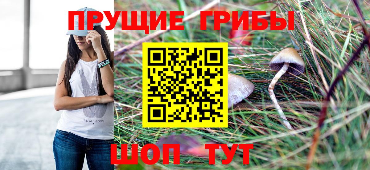 Галлюциногенные грибы Magic Shrooms Саранск