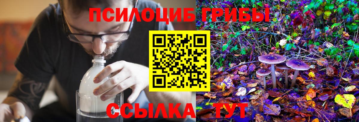 Псилоцибиновые грибы Psilocybine cubensis  Вход с VPN  Псилоцибиновые грибы Psilocybe  Саранск 
